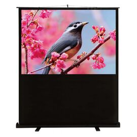  Экран Cactus 90x120см FloorCompactExpert CS-PSFLCE-120X90 4:3 напольный рулонный 