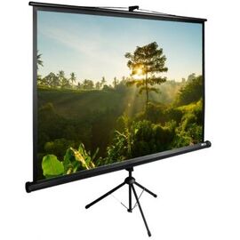  Экран Cactus 200x200см TriExpert CS-PSTE-200x200-BK 1:1 напольный рулонный черный 